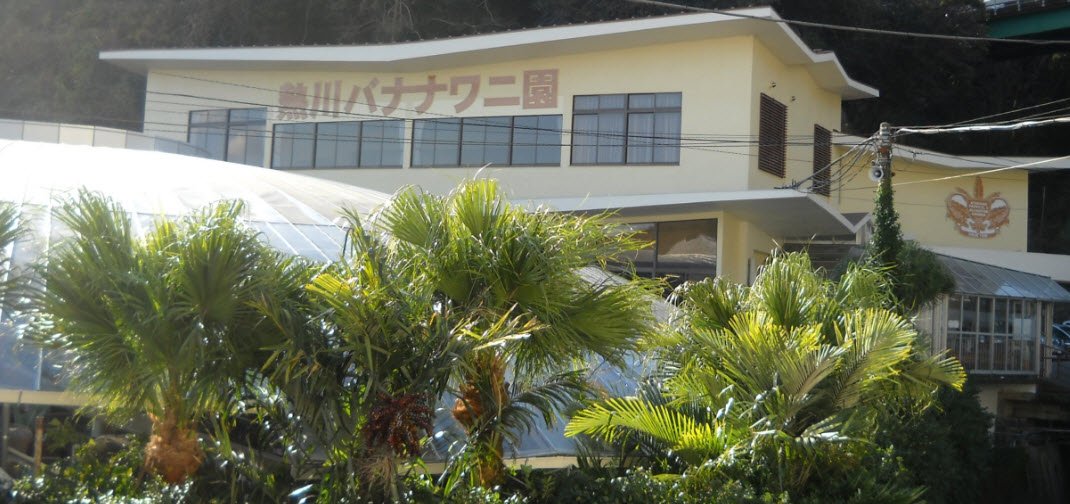 Atagawa Tropical & Alligator Garden (Banana-Wani-En), Japan